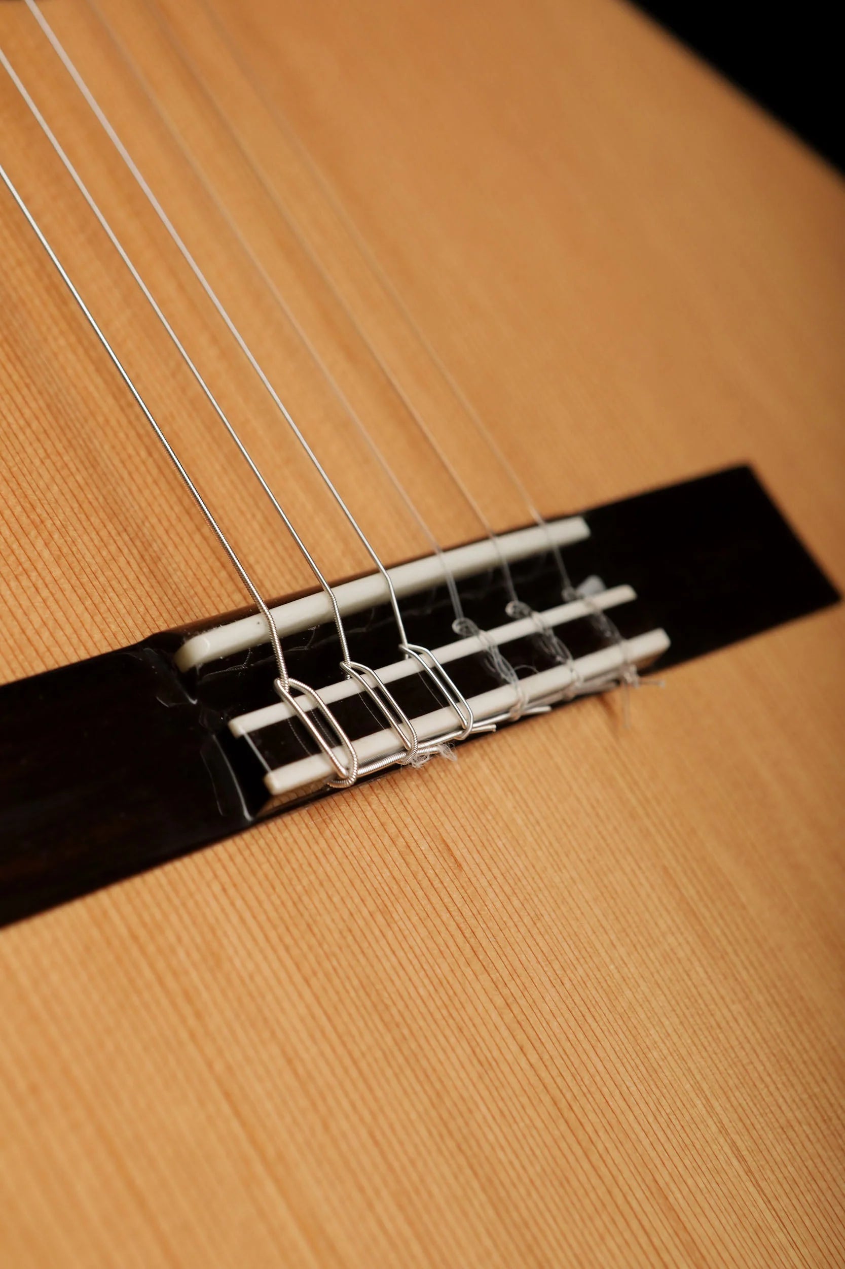 Classical Guitar Son of drum