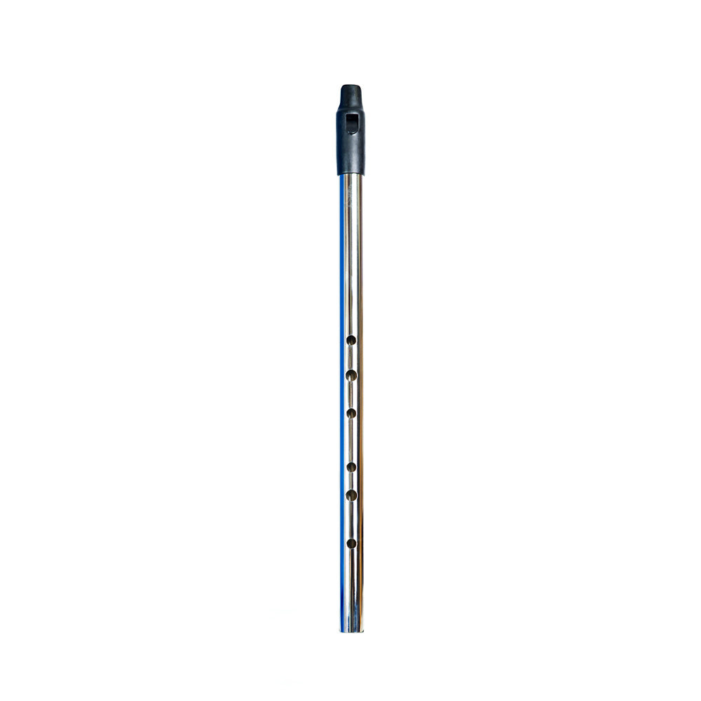 Howard Low D Whistle with Case