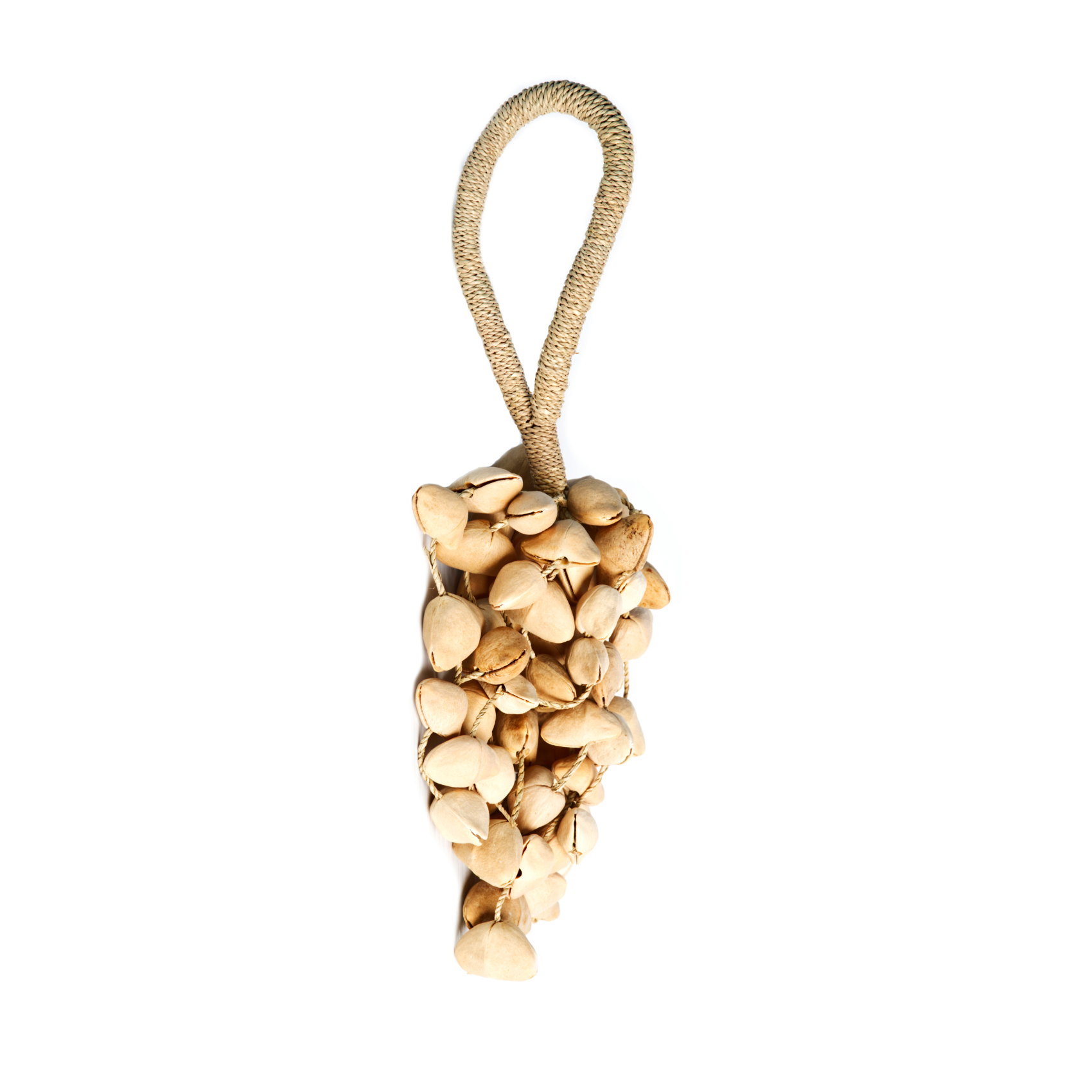 Juju Rattle - Seedpod