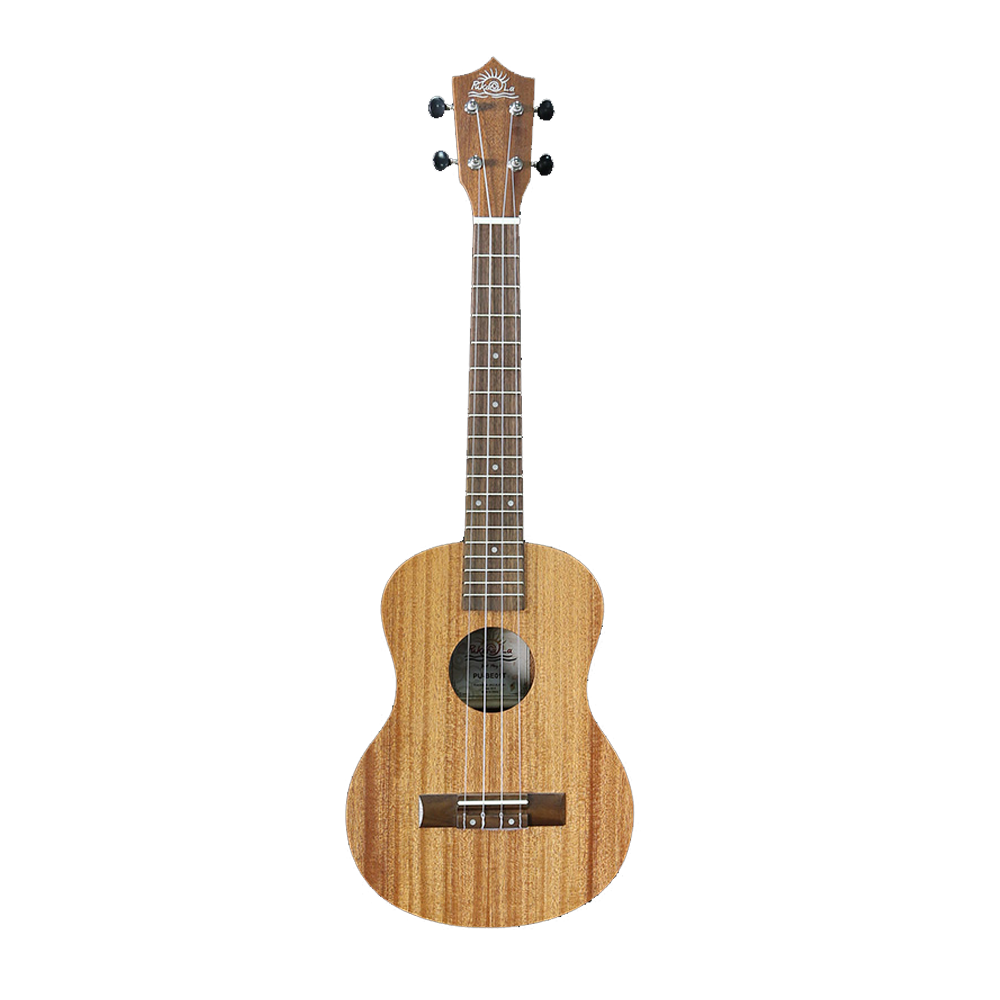 Pukanala Ukulele Beginner Series - Tenor