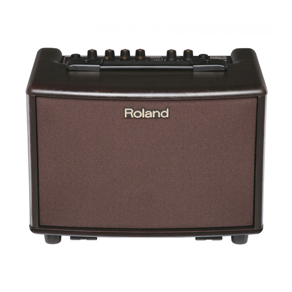 Son of drum - Roland Acoustic Chorus Amp AC-33 Rosewood