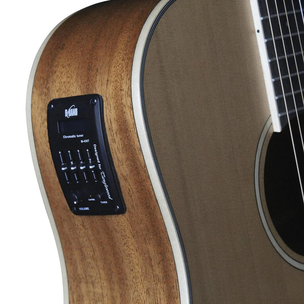 Tanglewood TW10-12 Winterleaf
