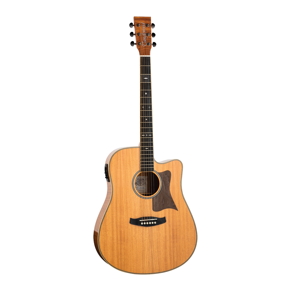Tanglewood Reunion Australian Red Cedar Top Dreadnought C/E with Flame Okoume B/S