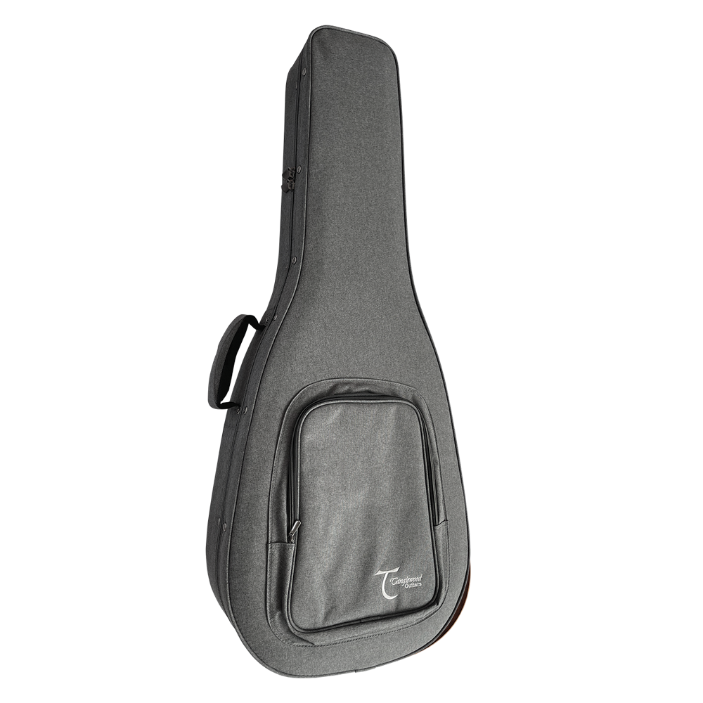 Tanglewood TW45RVSE with Case