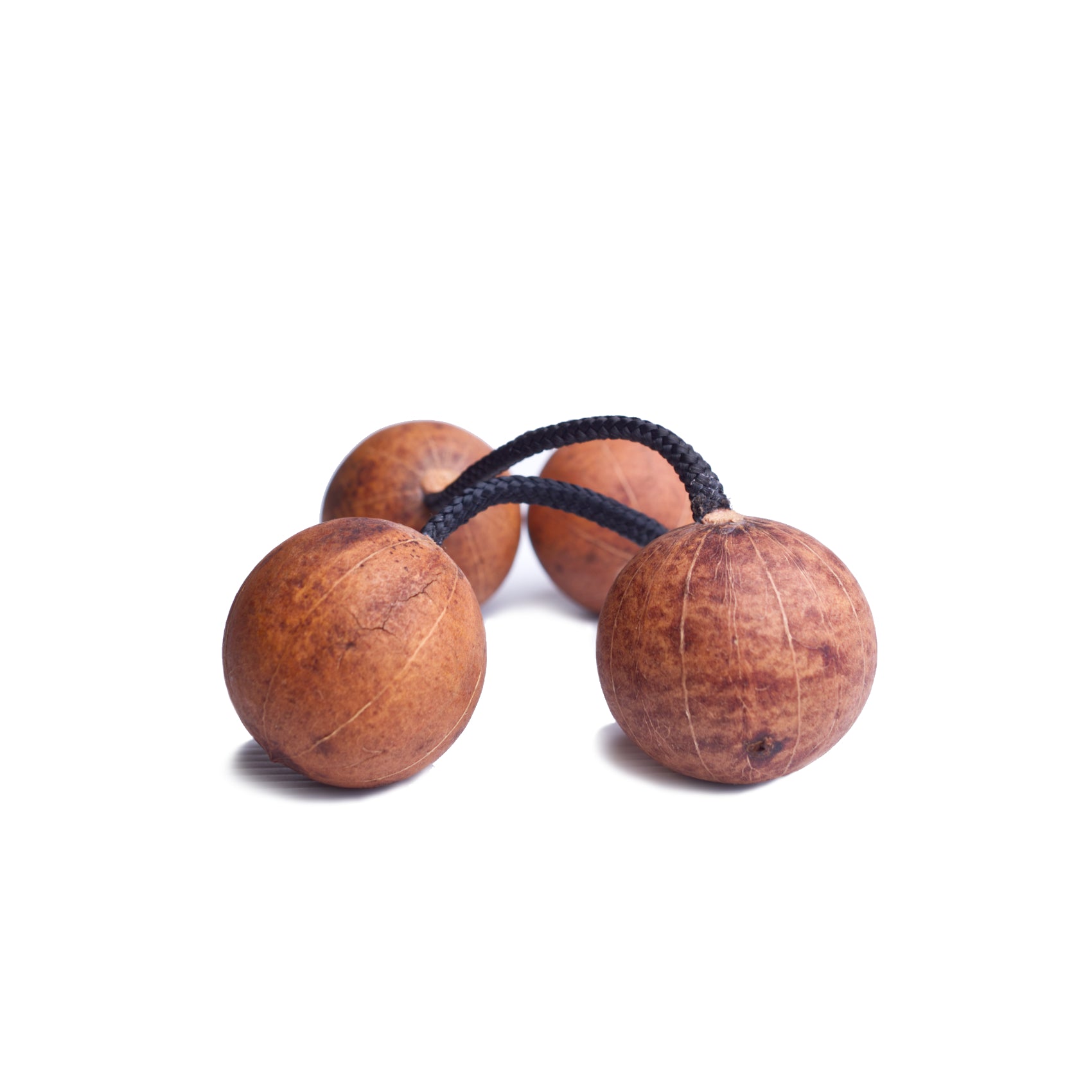 Patika Asalato Shaker double - Australia son of drum
