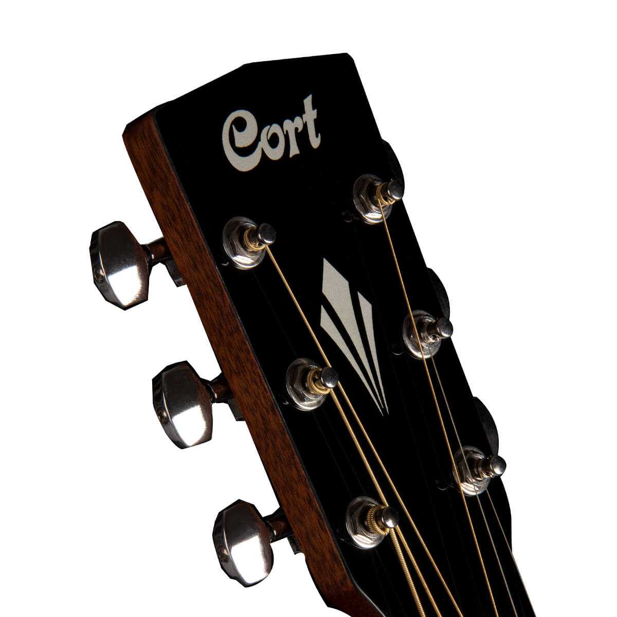 Cort GA-FF Acoustic Guitar Son of Drum