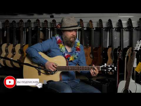 Cort GA-FF Acoustic Guitar demo