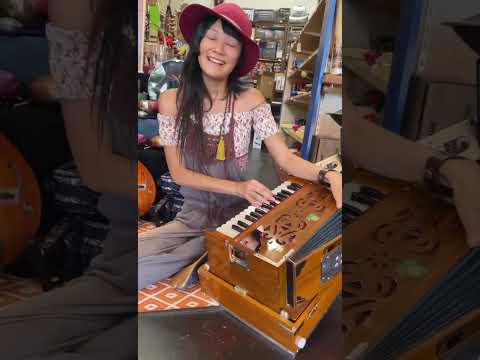 Monoj Bros Traveller Harmonium video at Son of Drum