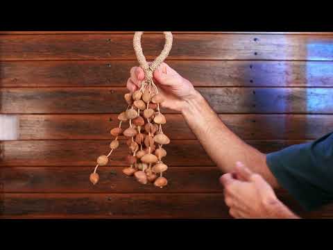 Juju Rattle - Seedpod medium